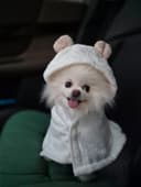 베리